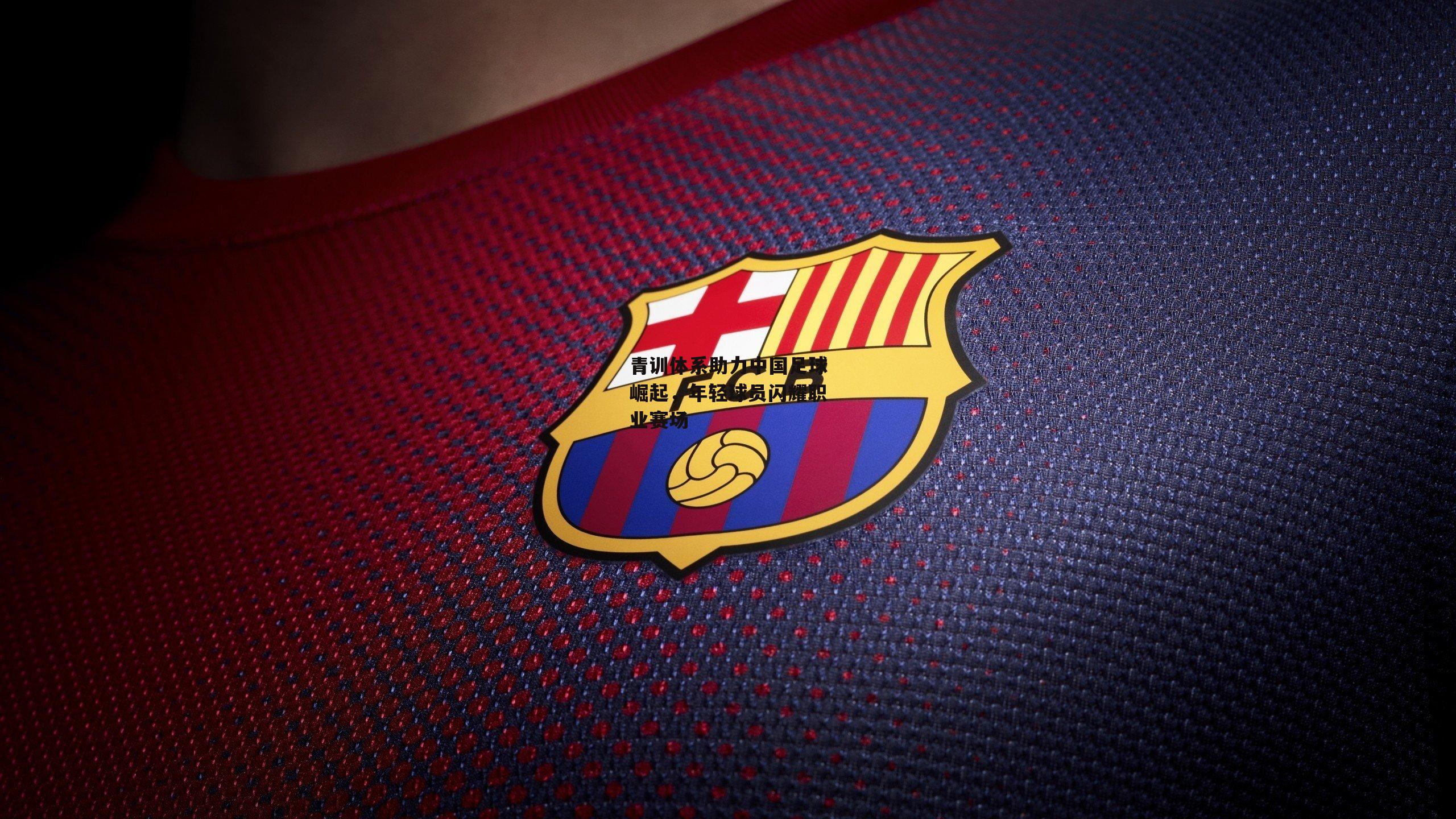 青训体系助力中国足球崛起,年轻球员闪耀职业赛场